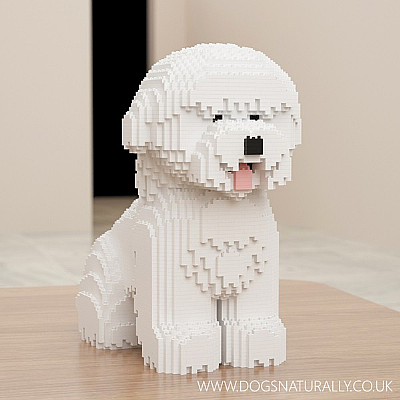 Bichon (Sat) Jekca Available in 2 Sizes